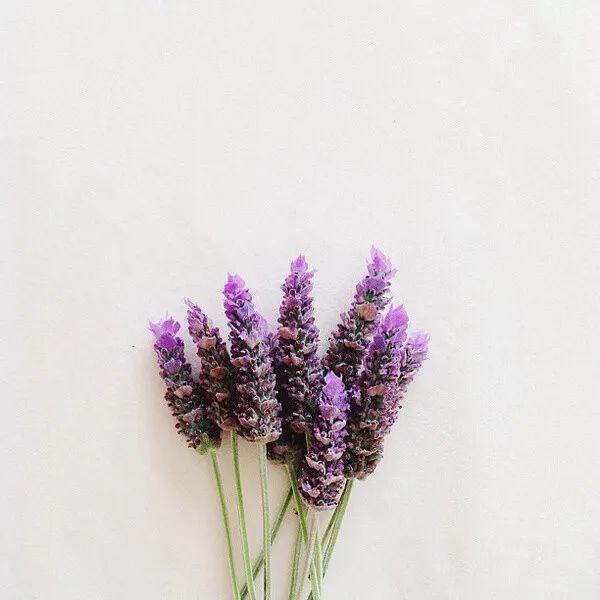 对父母感恩的话