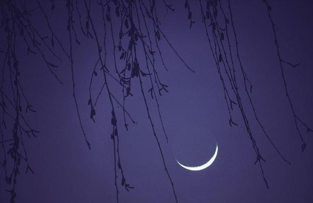 感恩有你的句子一路相伴