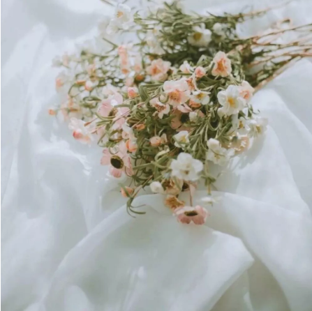 感恩节给幼儿园老师的祝福语简单的