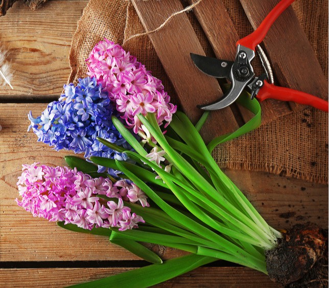 感恩父母的一句话简短感恩节 感恩节写给父母的话简短真实