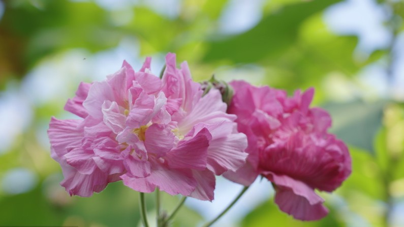 2020感恩节发给客户的简短祝福语大全 感恩节感谢客户的话语暖心