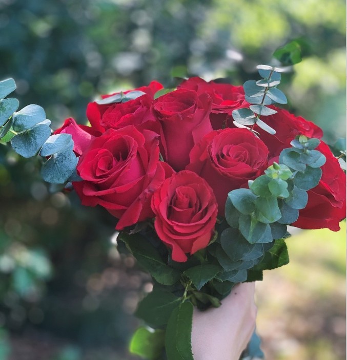 感恩节感谢新老客户的话语