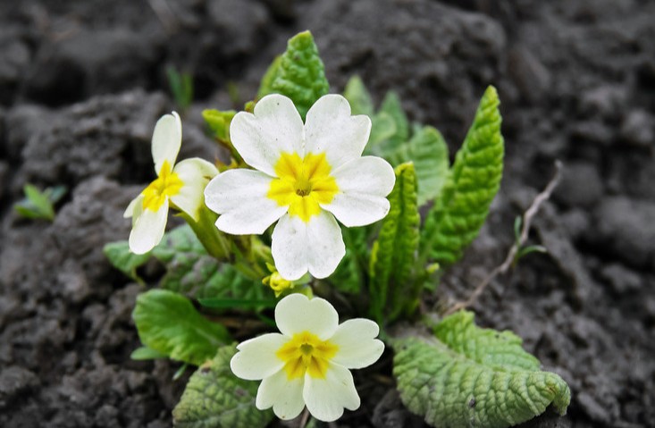 感恩节写给顾客暖心的话 感恩节给顾客的一段话
