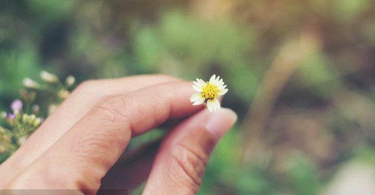 感恩节应该怎么说感谢客户的话 给顾客发的感恩节祝福话语