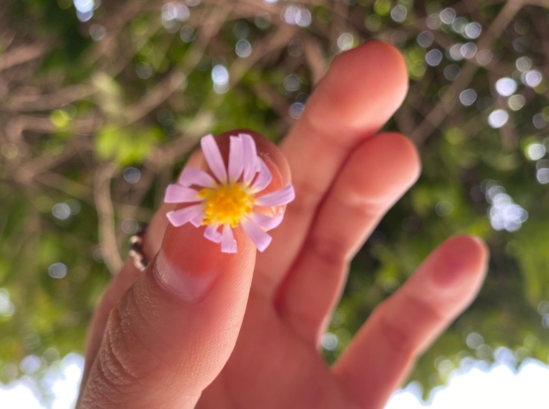 感恩节应该怎么说感谢客户的话