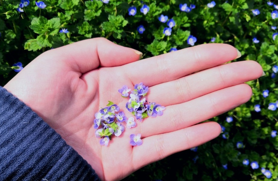 又暖又甜的简短小故事50字