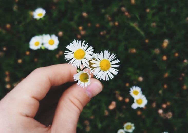 又暖又甜的简短小故事30字