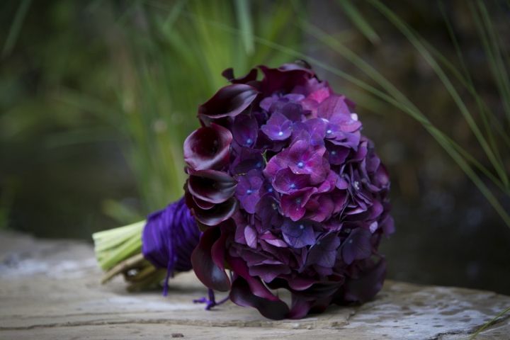 感恩节送什么鲜花