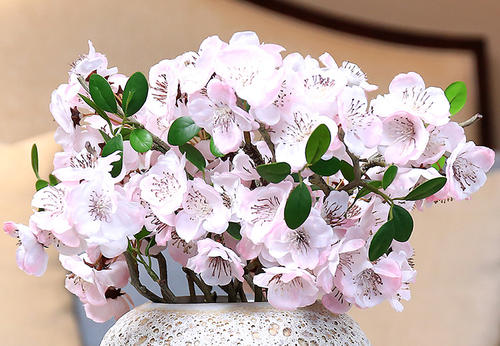 手捧花用什么花比较好