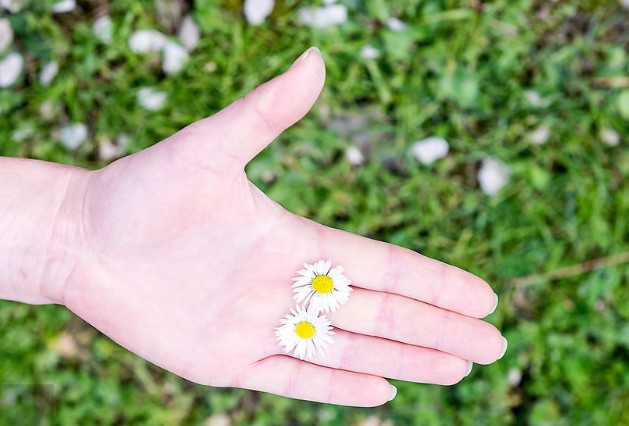 2020暖心的感恩节祝福语大全