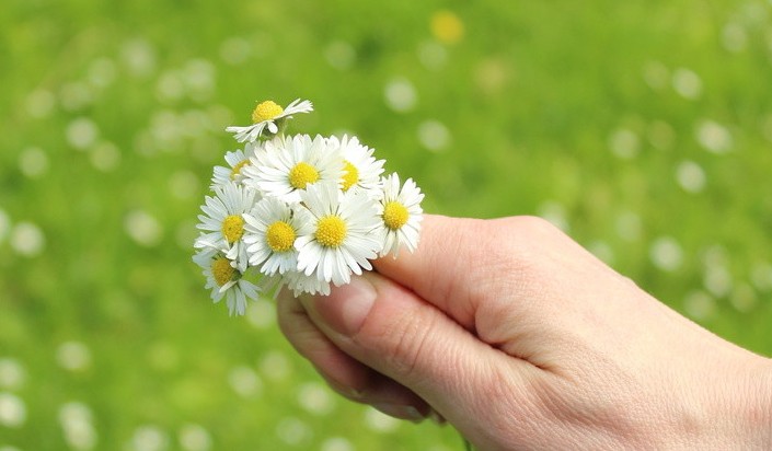 2020暖心的感恩节祝福语大全