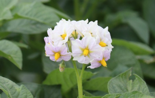 等待另一半出现的说说24字 等待另一半出现的说说短句