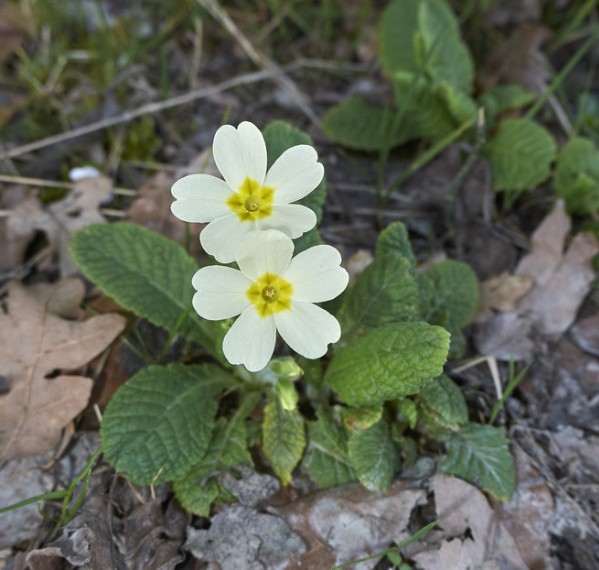 等待另一半出现的说说24字