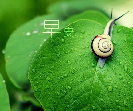 感恩节对老婆感谢的话朴实