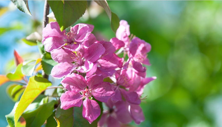 想在朋友圈找对象应该发什么句子 适合在空间里发的找对象的句子