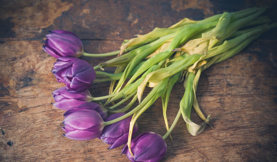 搞笑幽默的找对象句子