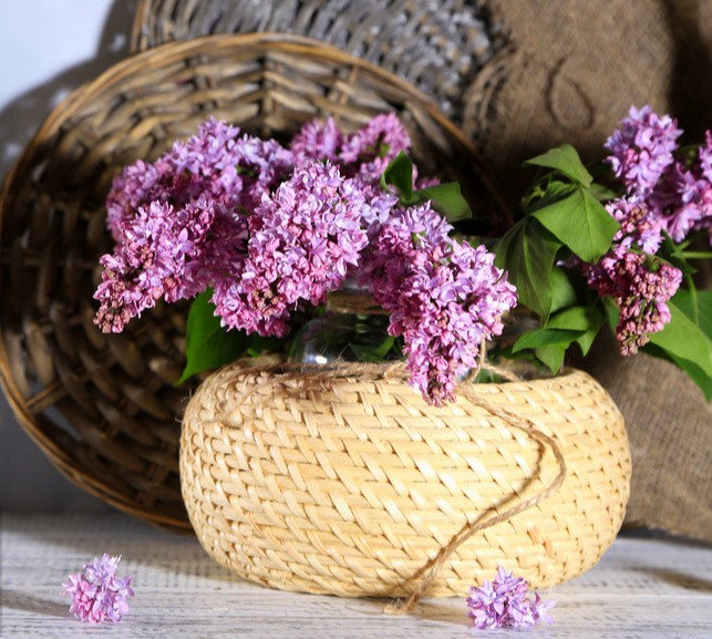 闺蜜相聚美好时光的句子