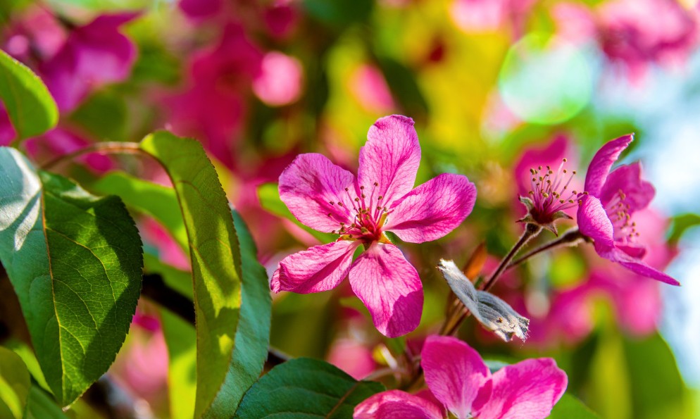 男生必知恋爱技巧 男生谈恋爱技巧