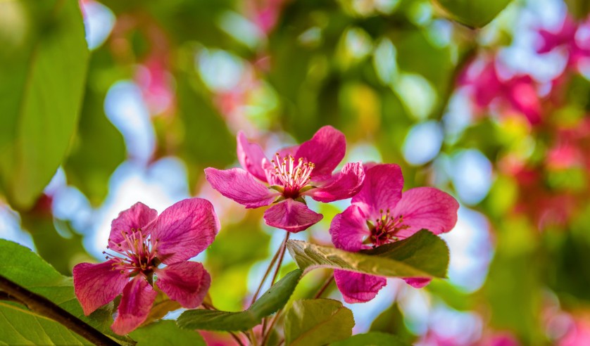 男生必知恋爱技巧