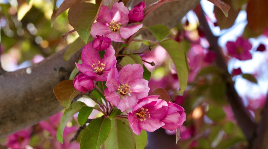 男生必知恋爱技巧