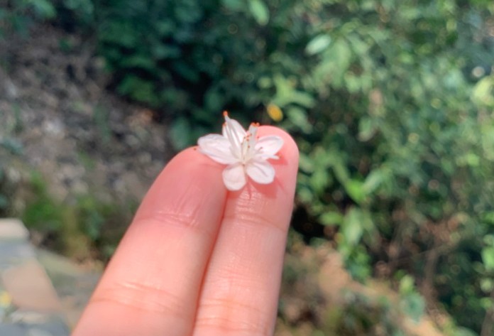 主动聊天第一句说啥怎么找话题 主动和认识的女生聊天第一句说啥