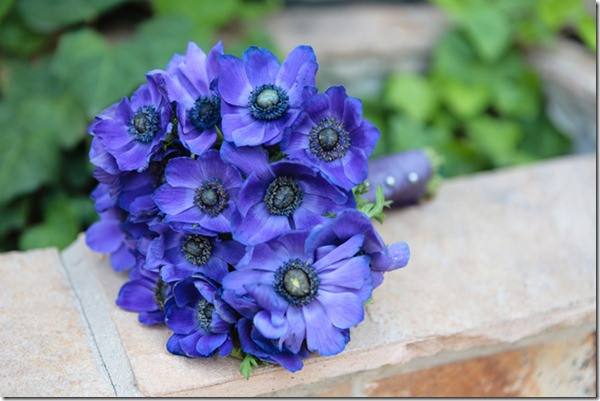 手捧花的样式有几种