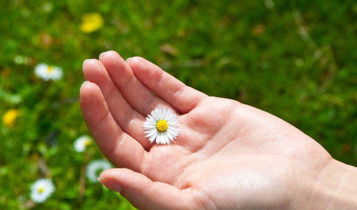 给情人的一段贴心的话