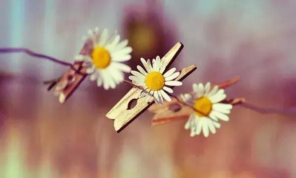 女生相亲后的正确发展步骤 女方相亲后的正确发展步骤