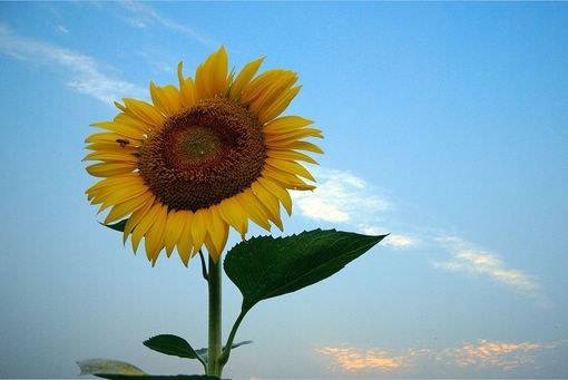 希望老公事业旺的句子 祝老公事业顺利祝福语