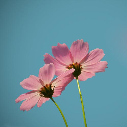 祝老公出门平安的句子