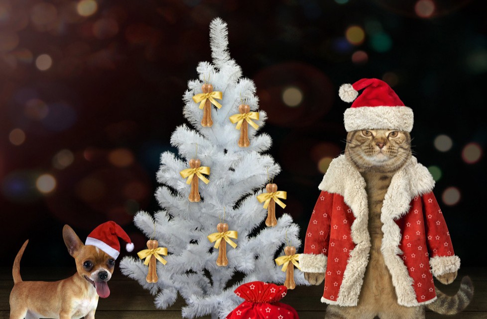 圣诞节促销广告文案