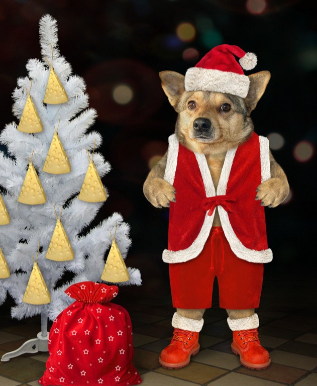 圣诞节促销广告文案