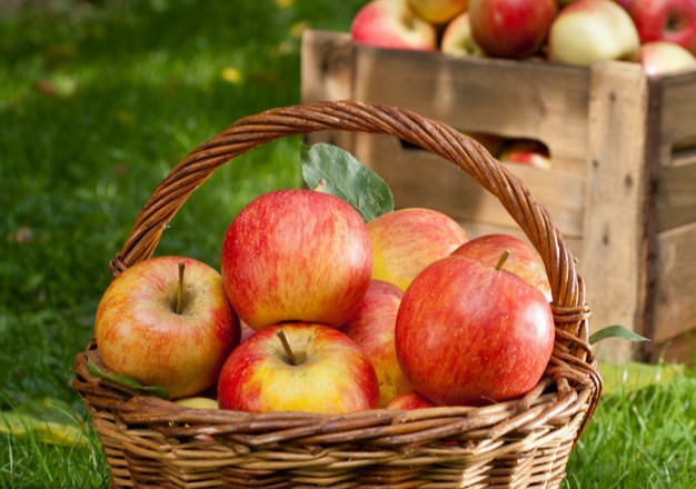 平安夜吃苹果的由来