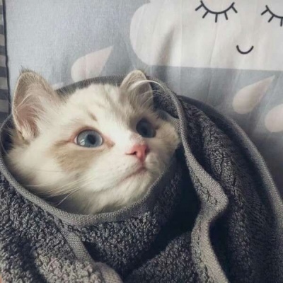 跨年发的朋友圈情侣