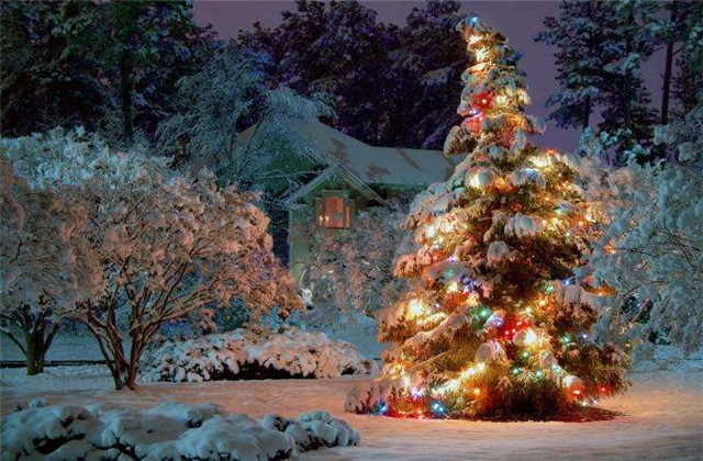 平安夜祝福语给长辈,圣诞节平安夜给长辈祝福语