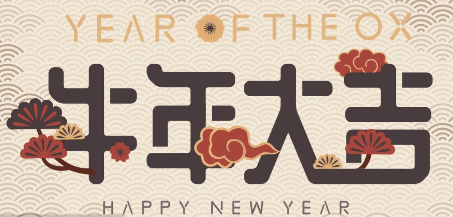 关于描写元旦的优美句子 关于元旦的优美句子和故事