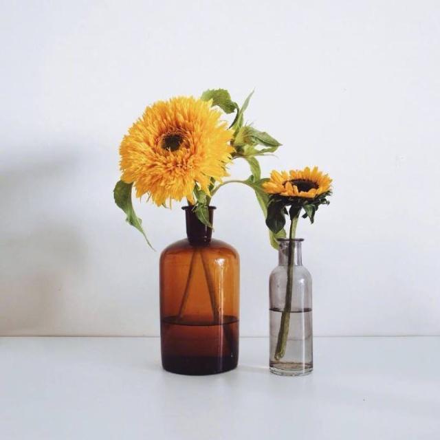 走心的不肉麻的情话短句