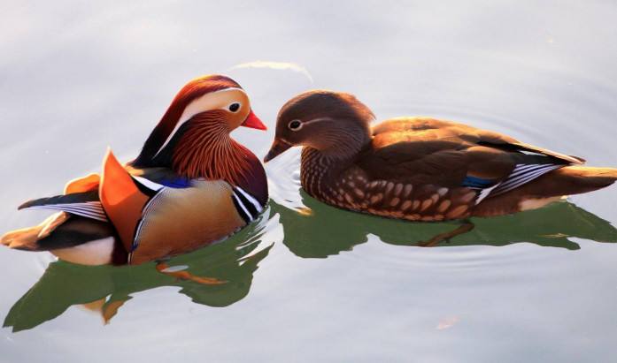 和老公聊天话题大全 怎样和老公更有话题聊