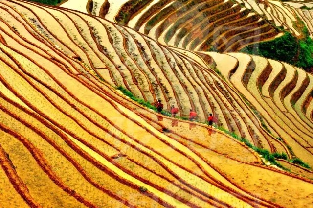 12月推荐旅游的地方 中国12月旅游推荐