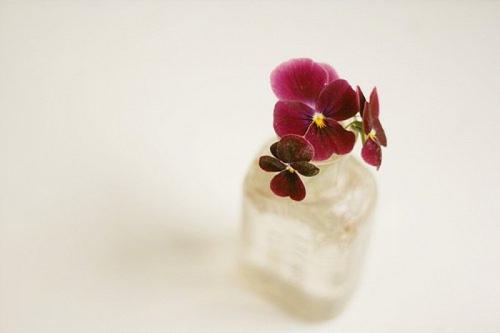 新手怎么谈恋爱