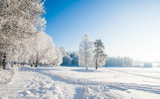 感受雪景的心情短语