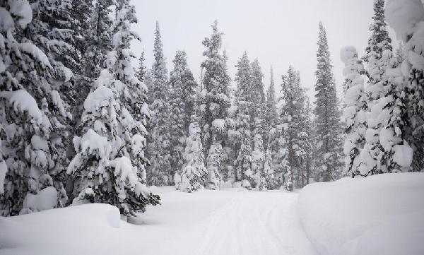 雪景很美的朋友圈说说 雪景很美的朋友圈句子