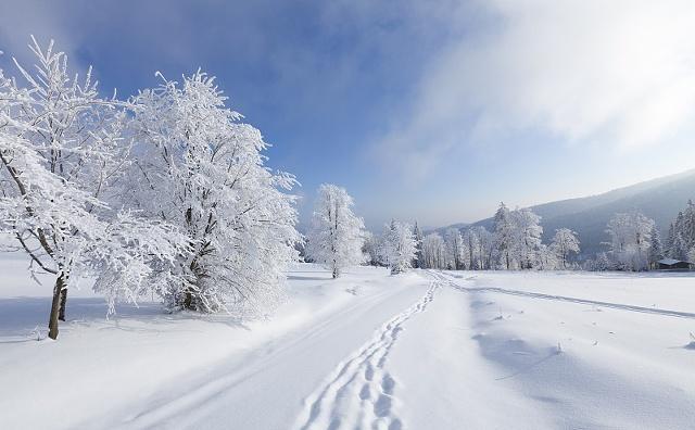 发个雪景的说说 发个雪景的说说朋友圈