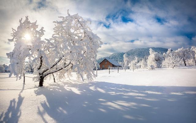 发个雪景的说说