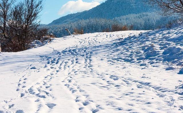 发个雪景的说说