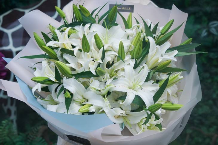 适合发百合花的朋友圈