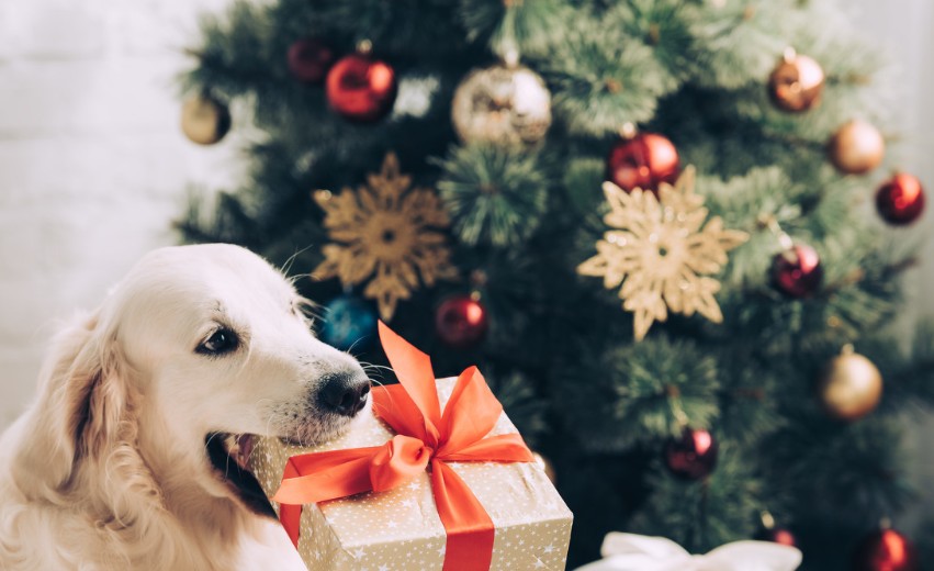 2020圣诞节是几月几日