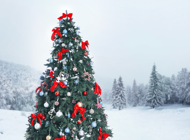 圣诞节的歌曲有哪些