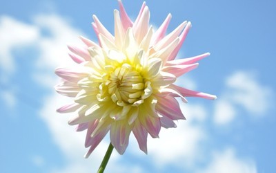 女生说肚子疼应该怎么回复