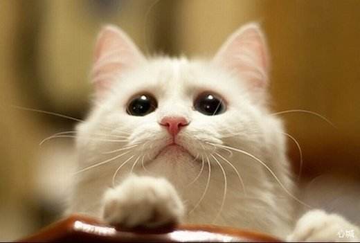 女朋友睡前小故事暖心